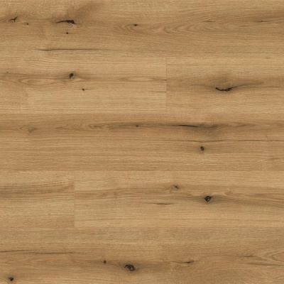 Ламинат Kaindl Natural Touch Standart Plank К5573 Oak Evoke Coast