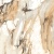Коллекция плитки Maimoon Ceramica  "Supreme Evo"