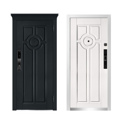 Дверь входная металлическая МетаЛюкс Smart LUX  M-SL  1038 Е. Фото в интернет-магазине Большой