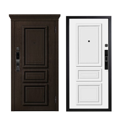 Дверь входная металлическая МетаЛюкс Smart LUX  M-SL 669. Фото в интернет-магазине Большой